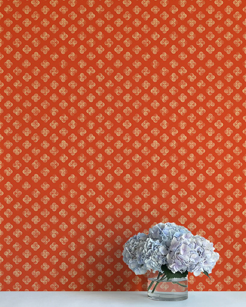 Quattro - Clementine Wallpaper