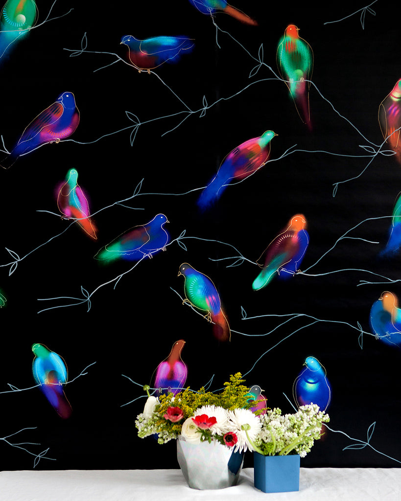 Fruit Doves - Nightingale Wallpaper