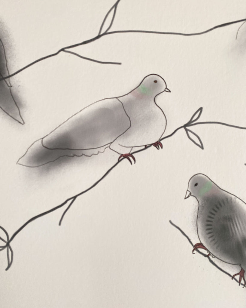 Fruit Doves - Rock Dove Wallpaper